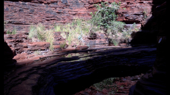 Screenshot_2016-11-12-15-53-23