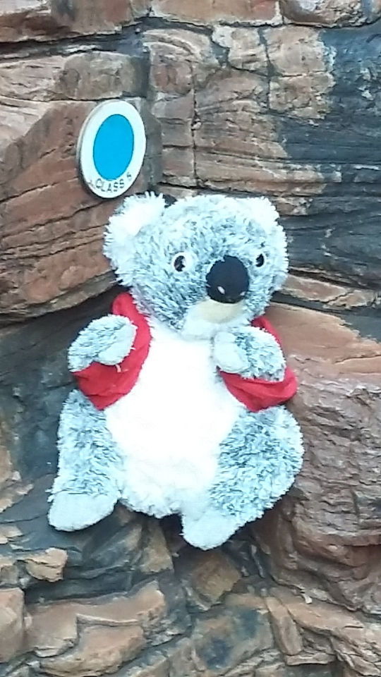 Screenshot_2016-11-12-15-54-34