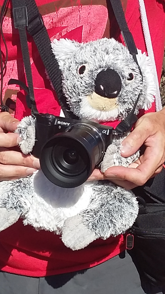 Screenshot_2016-11-12-15-54-39