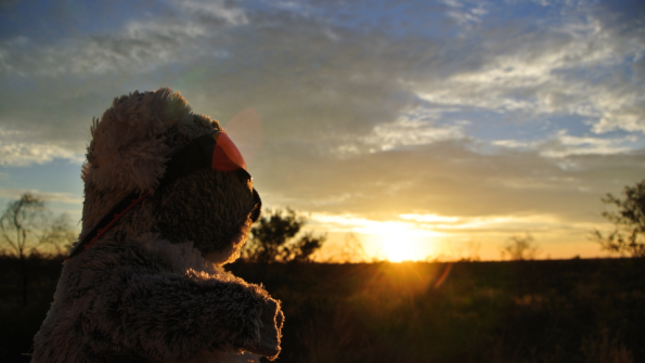 Screenshot_2016-11-12-15-55-05