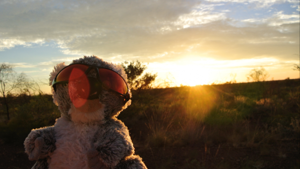 Screenshot_2016-11-12-15-55-10