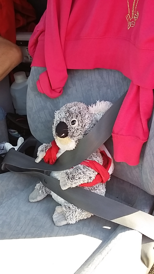 Screenshot_2016-12-04-15-13-16