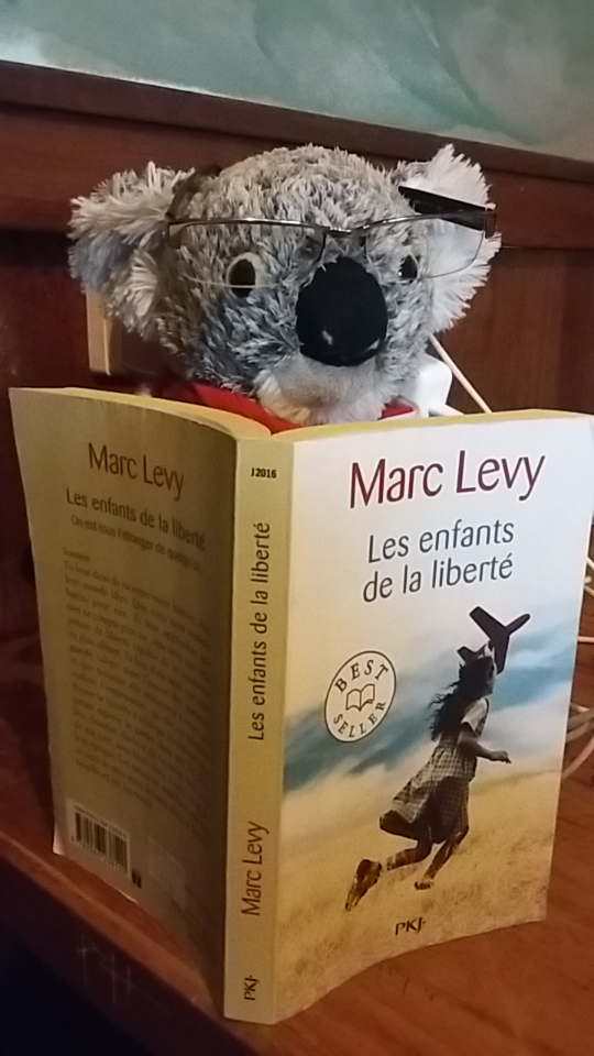 Screenshot_2017-01-09-19-39-03