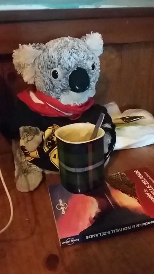 Screenshot_2017-01-09-19-39-14