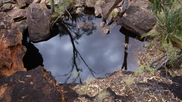 Screenshot_2016-11-03-15-15-16