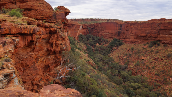 Screenshot_2016-11-03-15-15-20