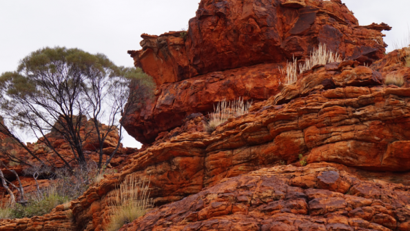 Screenshot_2016-11-03-15-15-28