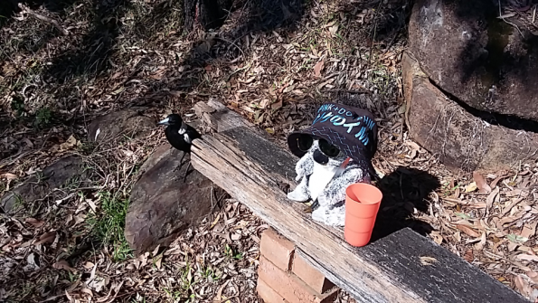 Screenshot_2016-09-27-07-53-50