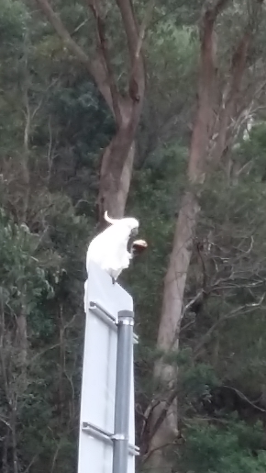 Screenshot_2016-09-18-09-24-42