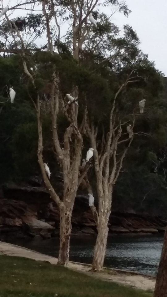 Screenshot_2016-09-18-09-24-50