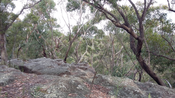 Screenshot_2016-09-18-09-25-34