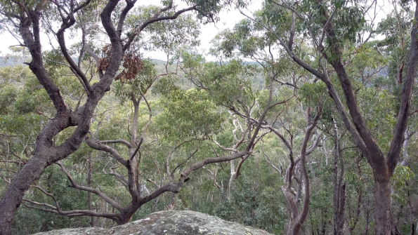 Screenshot_2016-09-18-09-25-45