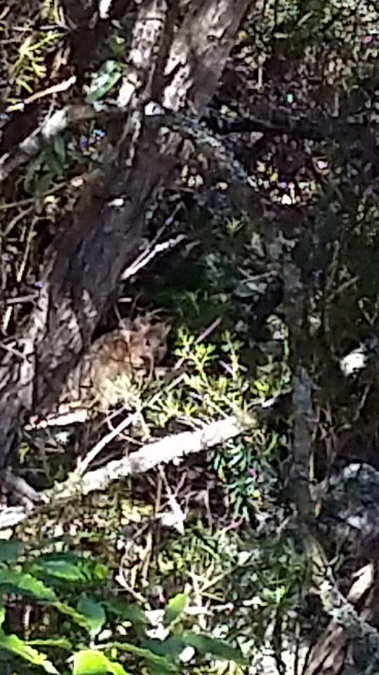 Screenshot_2016-09-27-07-57-57