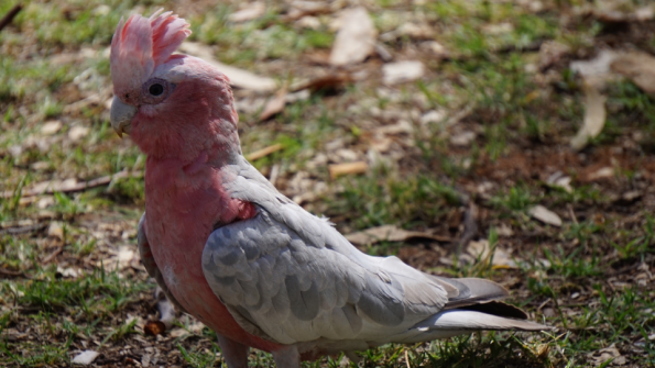 Screenshot_2016-11-03-15-14-25