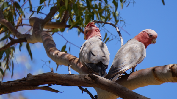 Screenshot_2016-11-03-15-14-33